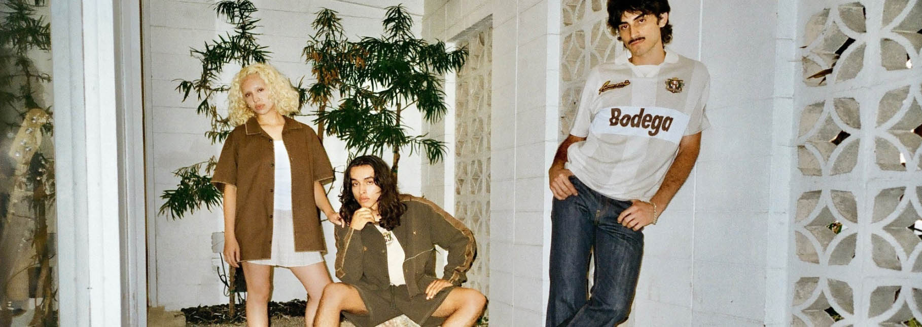 Bodega -Bodega FDHFGH