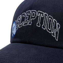 DECEPTION 6 PANEL HAT -Bodega Reception6PANELCAPDECEPTIONCOTTONTWILDARKNAVYOSH0022 4